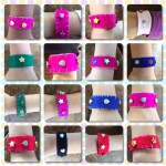 2015-06-28 Parkfest Collage